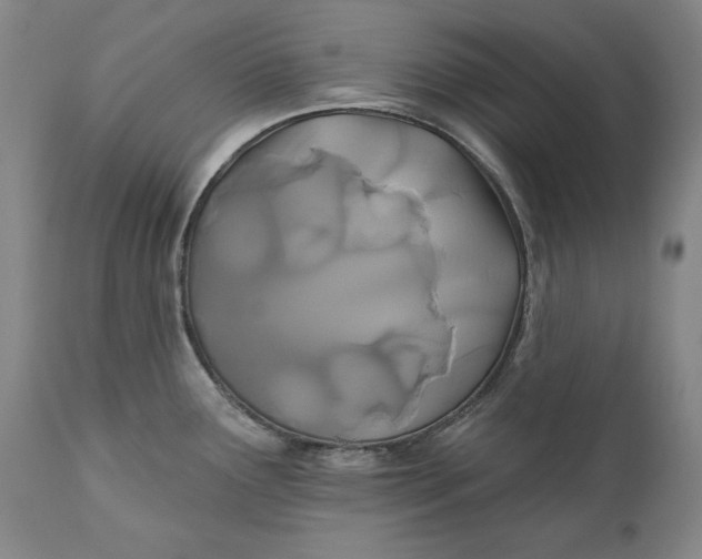 X0000110921291200907021450
