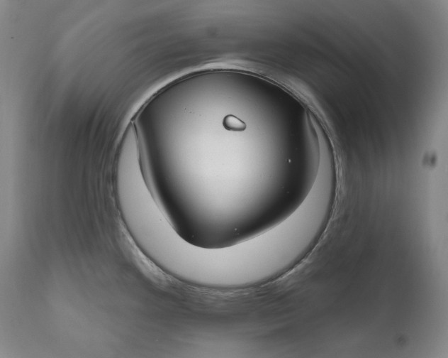 X0000110921292200907021450