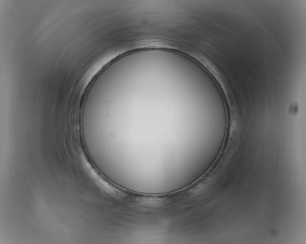 X0000110921293200907021450