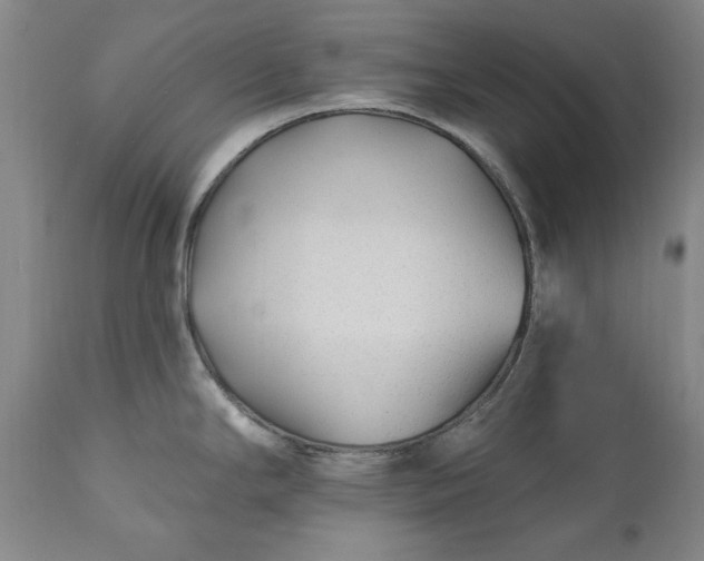 X0000110921294200907021450