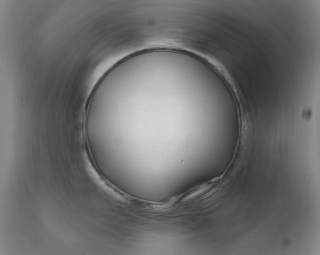 X0000110921295200907021450