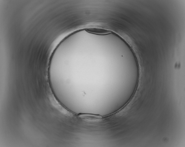 X0000110921296200907021450