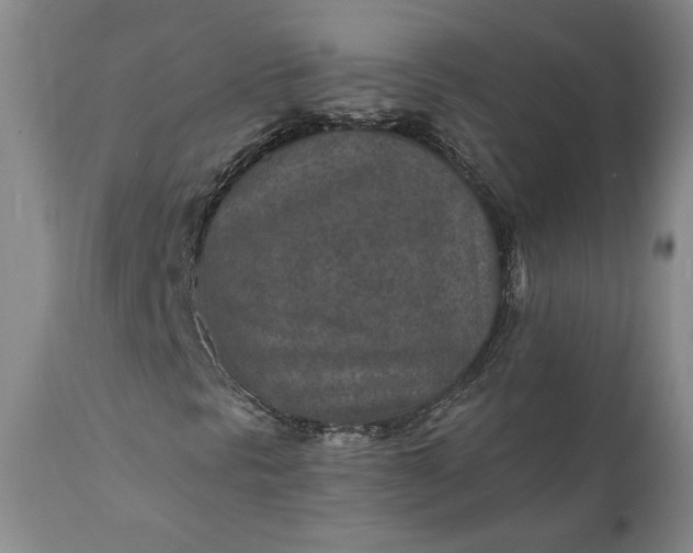 X0000110921297200907021449