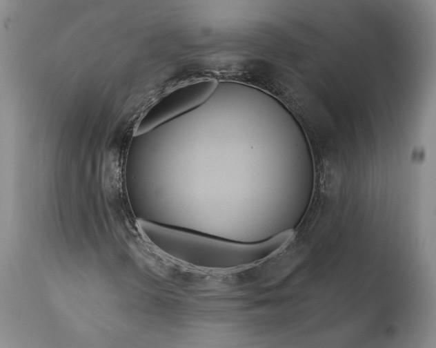 X0000110921298200907021449
