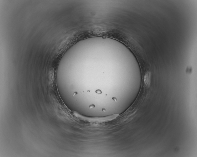 X0000110921299200907021449