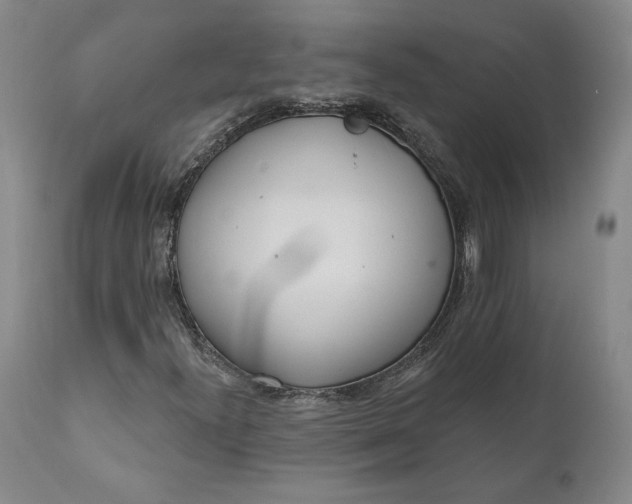 X0000110921300200907021450