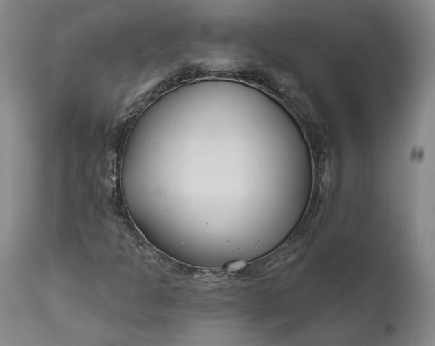 X0000110921301200907021450