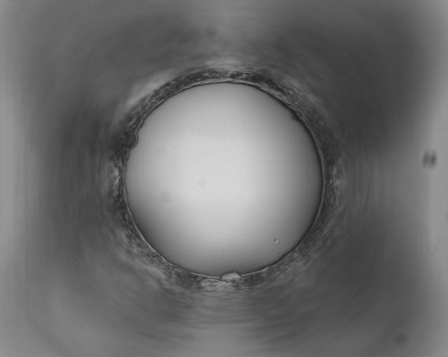X0000110921302200907021450