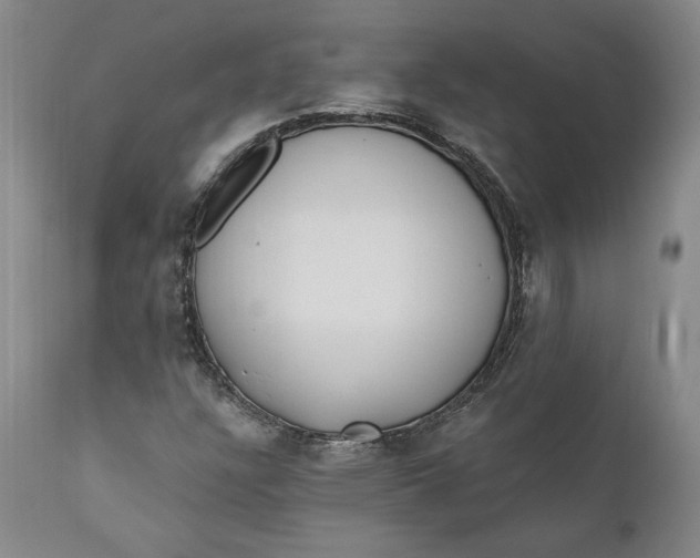 X0000110921304200907021450
