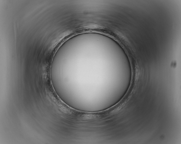 X0000110921305200907021450