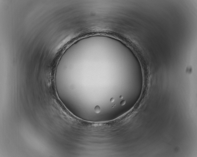 X0000110921306200907021450