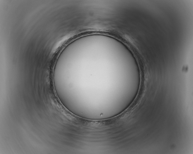 X0000110921307200907021450