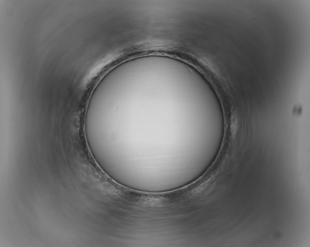 X0000110921309200907021450
