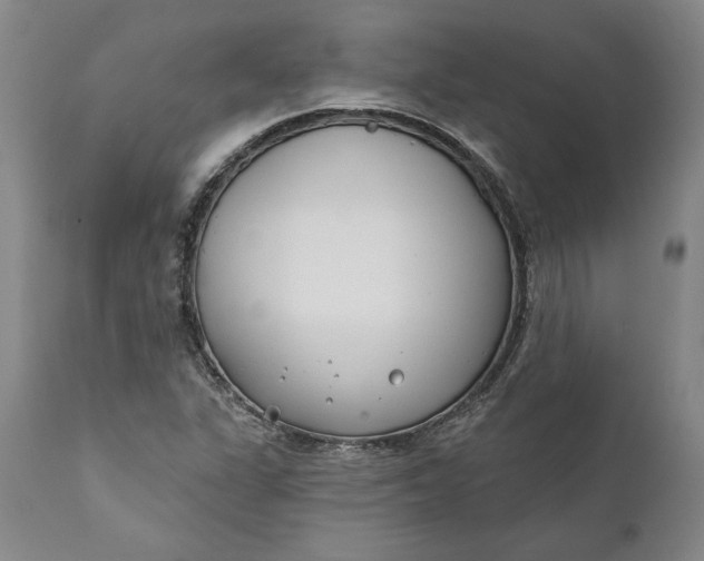 X0000110921311200907021450