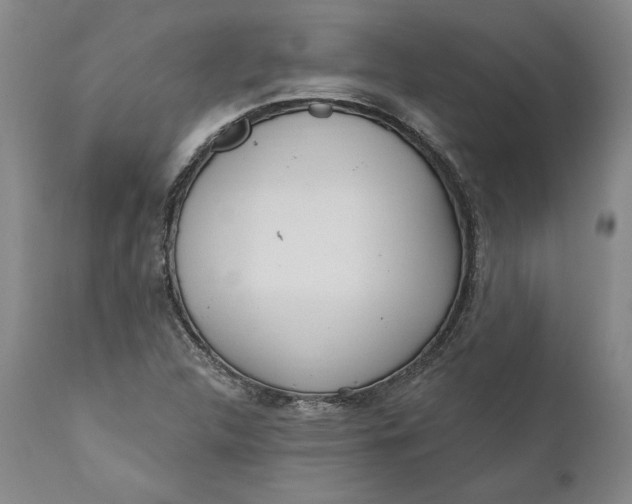 X0000110921312200907021450