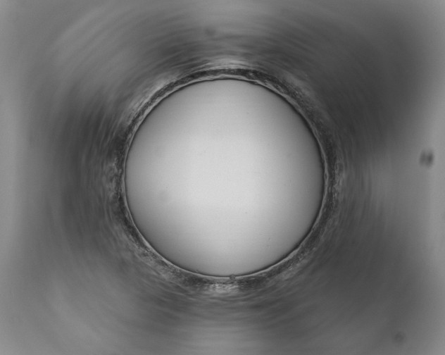 X0000110921313200907021450