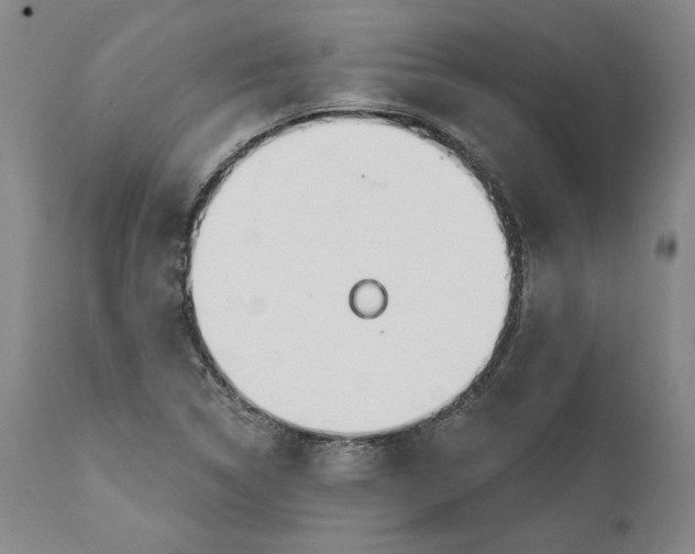 X0000110921314200907021450
