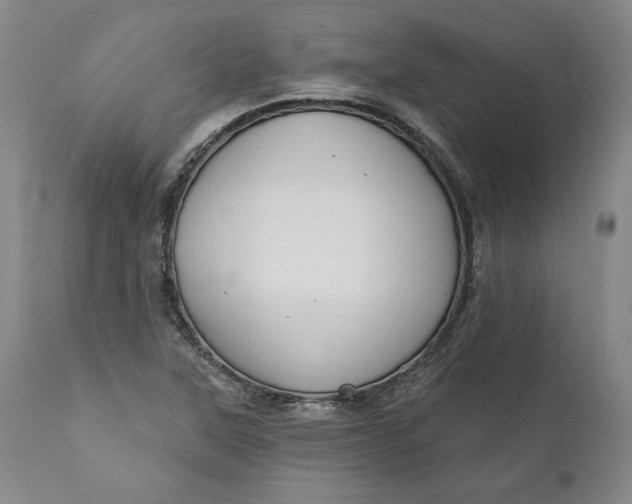X0000110921315200907021450