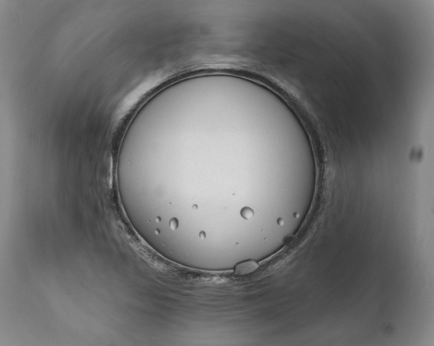 X0000110921317200907021450
