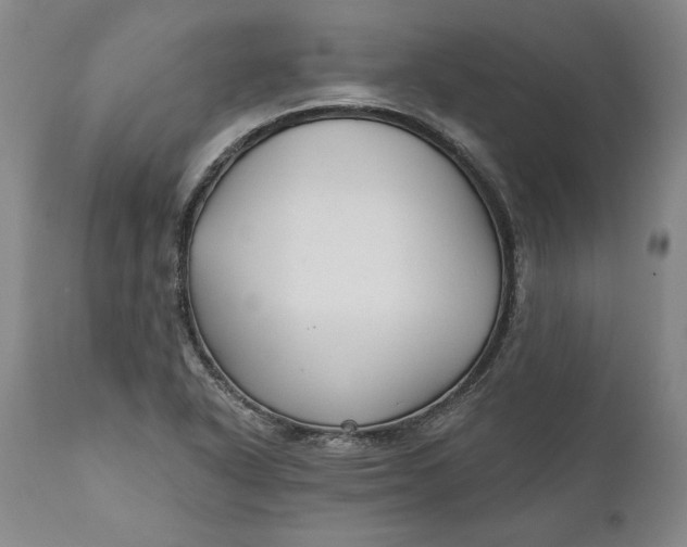 X0000110921318200907021450