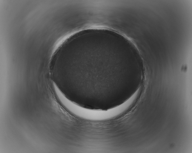 X0000110921319200907021450