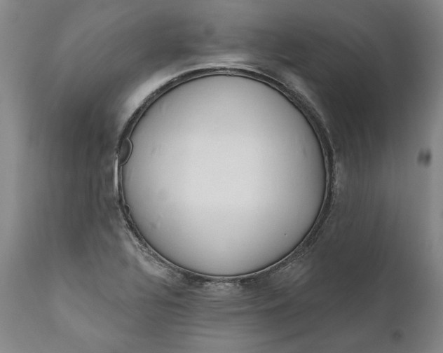 X0000110921320200907021450