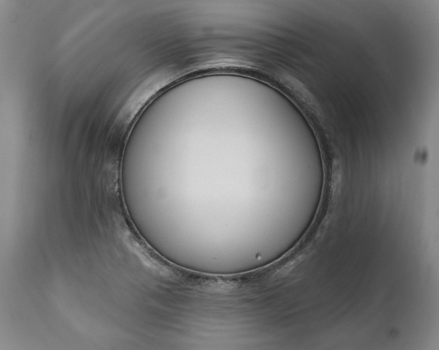 X0000110921321200907021450