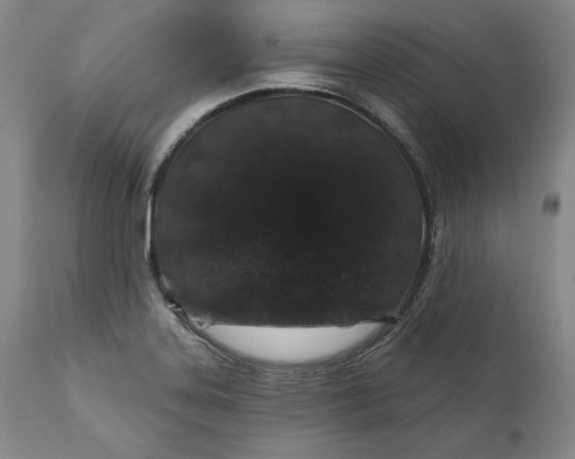 X0000110921323200907021450