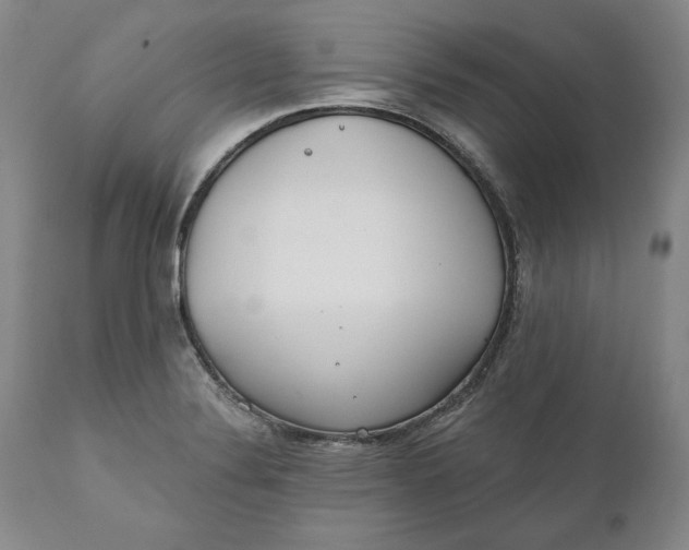 X0000110921324200907021450