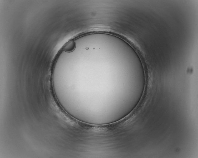 X0000110921325200907021450