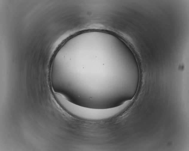 X0000110921326200907021450