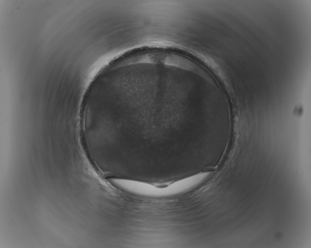 X0000110921327200907021450