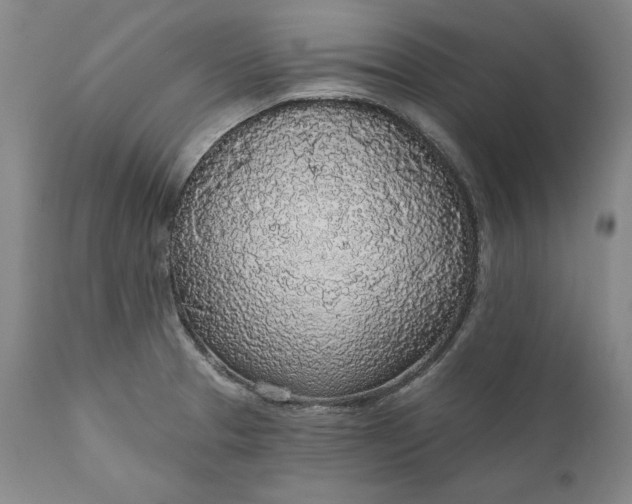 X0000110921329200907021450