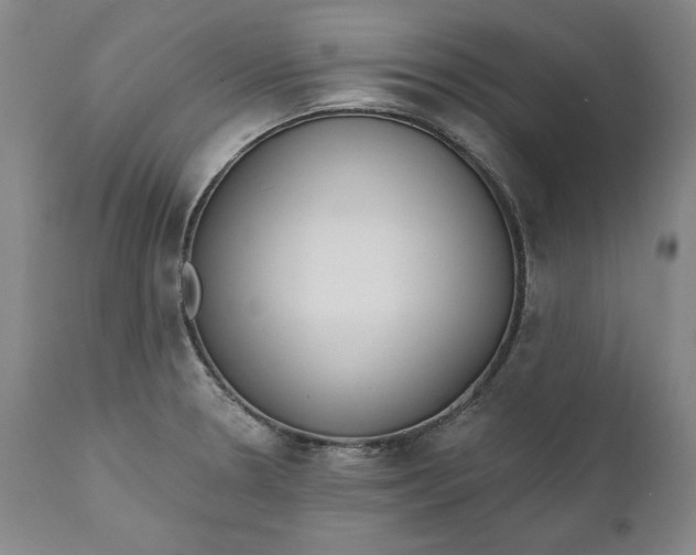 X0000110921330200907021450