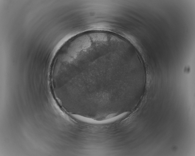 X0000110921331200907021450