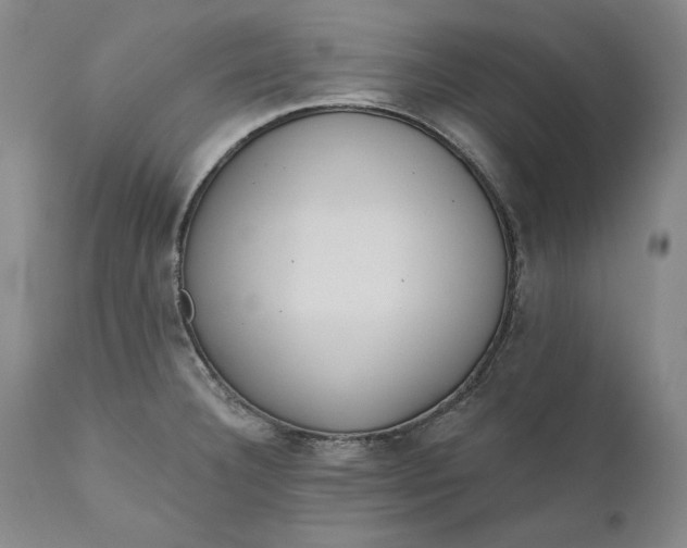 X0000110921332200907021450