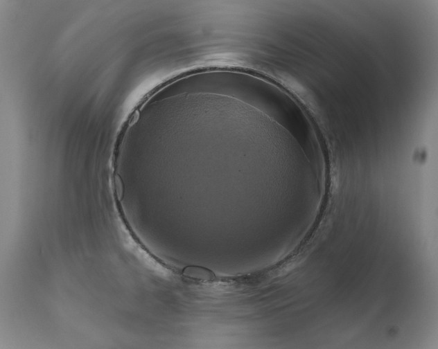 X0000110921334200907021450
