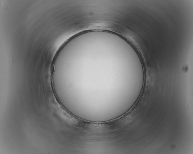 X0000110921336200907021450