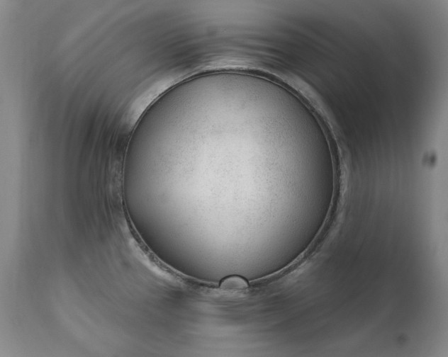 X0000110921337200907021450
