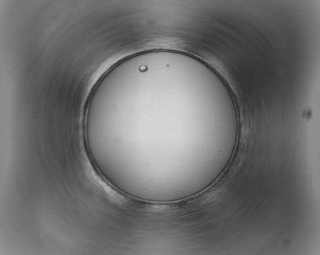 X0000110921339200907021450