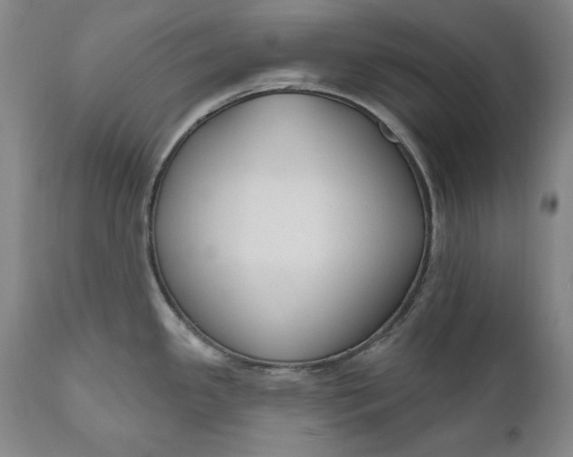 X0000110921341200907021450