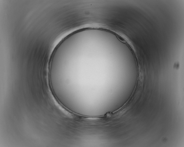 X0000110921343200907021450