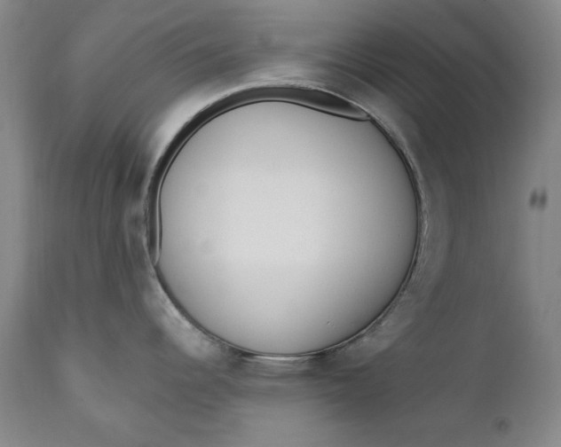 X0000110921344200907021450