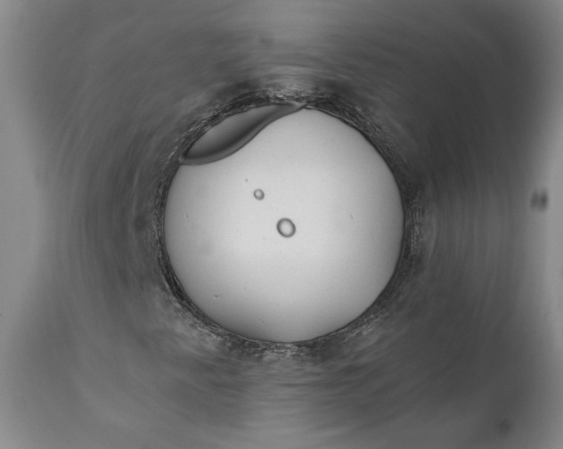 X0000110921345200907021449