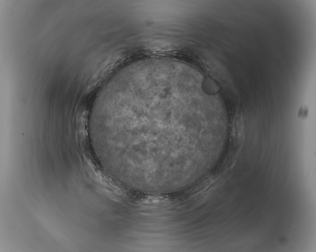 X0000110921346200907021449