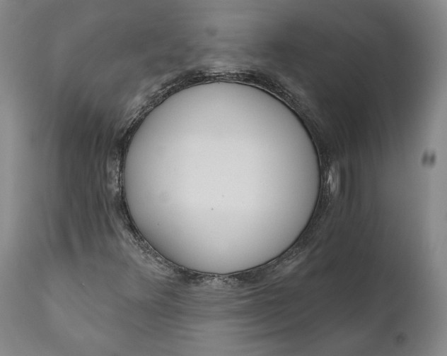 X0000110921348200907021449