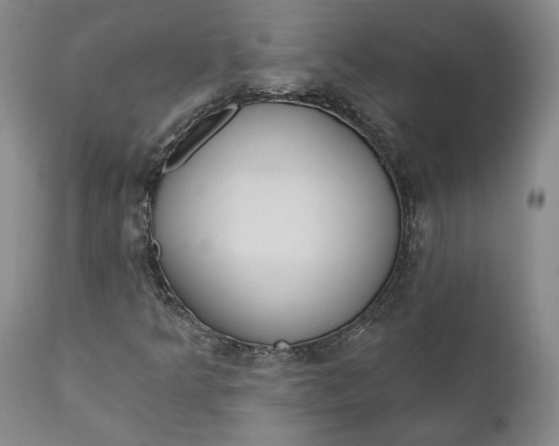 X0000110921349200907021449