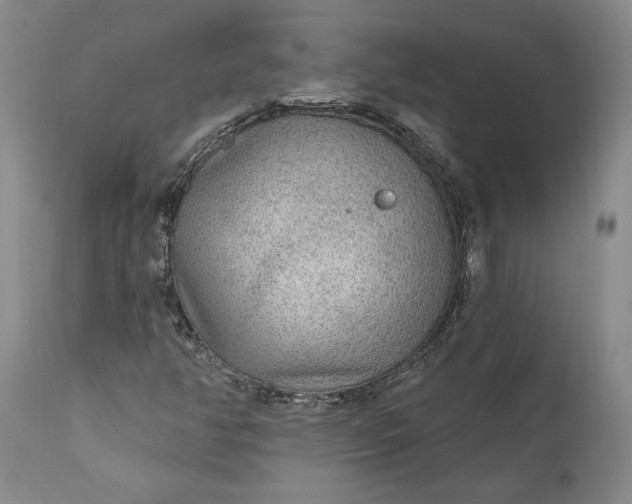 X0000110921350200907021449