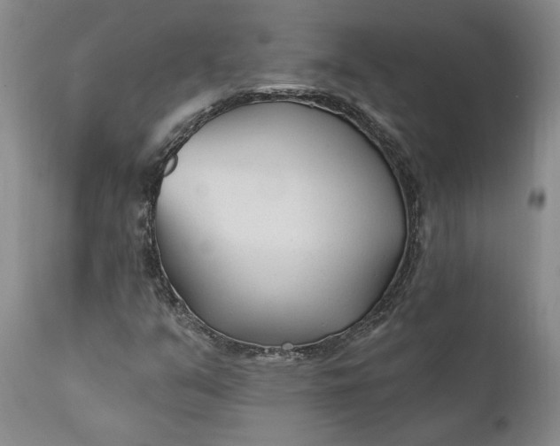 X0000110921351200907021449
