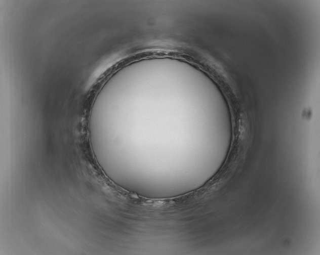 X0000110921352200907021449